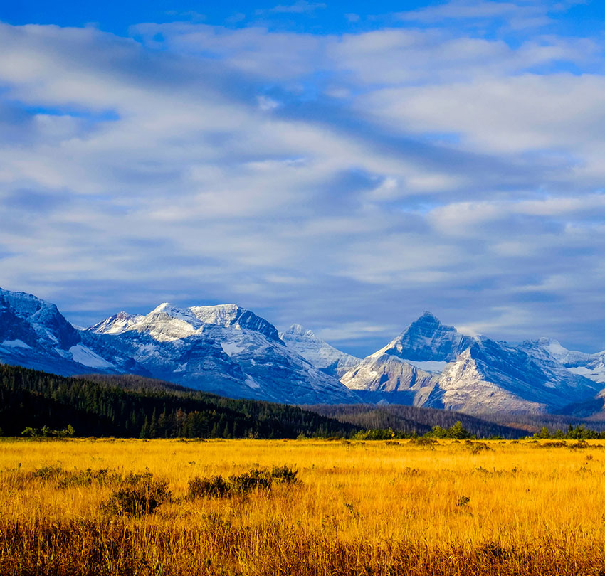 dr-sean-melton_284452093-850x810-MT-USA-OPT